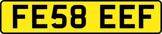 FE58EEF