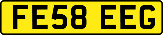 FE58EEG