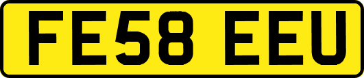 FE58EEU