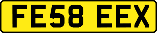 FE58EEX
