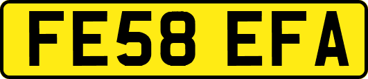 FE58EFA