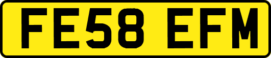 FE58EFM