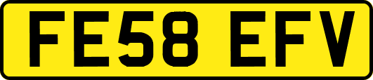 FE58EFV
