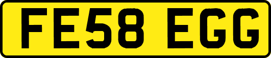 FE58EGG