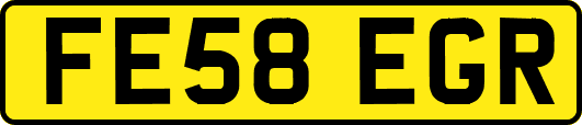 FE58EGR