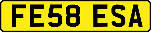 FE58ESA