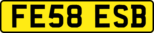 FE58ESB