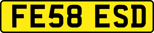 FE58ESD