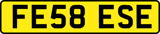 FE58ESE
