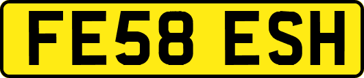 FE58ESH