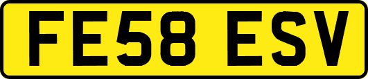 FE58ESV