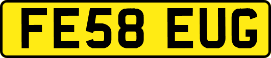 FE58EUG
