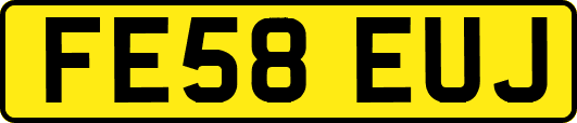 FE58EUJ