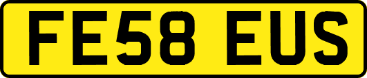 FE58EUS