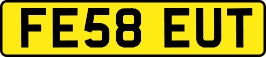 FE58EUT