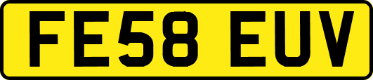 FE58EUV