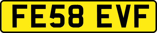 FE58EVF