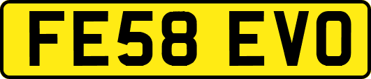 FE58EVO
