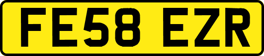 FE58EZR