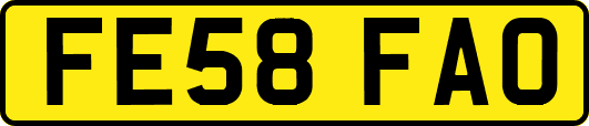 FE58FAO