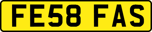 FE58FAS