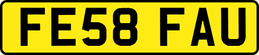 FE58FAU