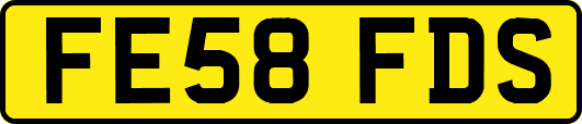 FE58FDS
