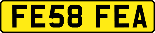 FE58FEA