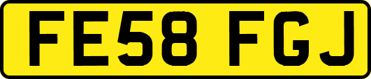 FE58FGJ