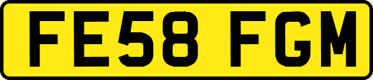 FE58FGM