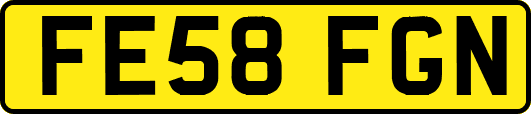 FE58FGN