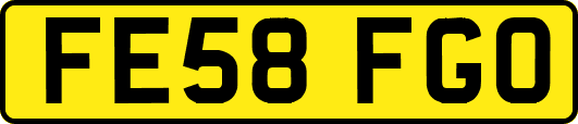 FE58FGO