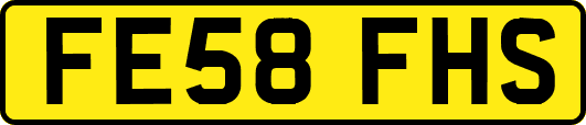 FE58FHS