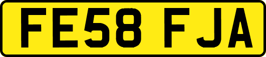 FE58FJA