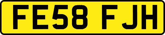 FE58FJH