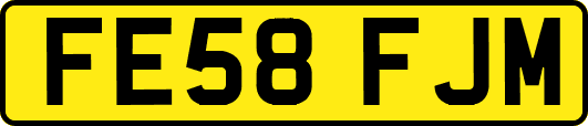 FE58FJM