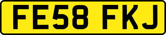 FE58FKJ