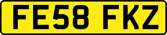 FE58FKZ