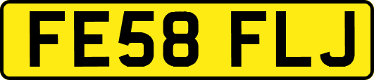 FE58FLJ