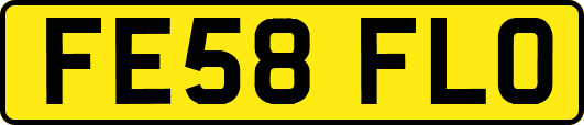FE58FLO