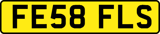 FE58FLS