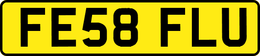 FE58FLU