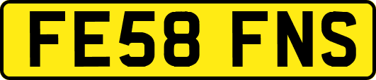 FE58FNS