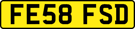 FE58FSD