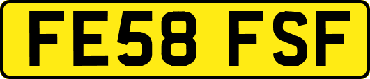 FE58FSF