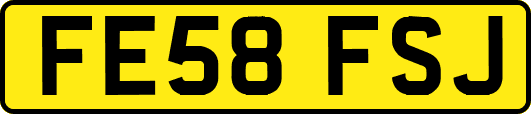 FE58FSJ