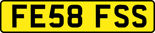 FE58FSS