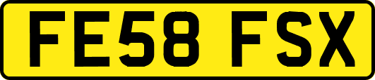 FE58FSX