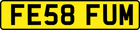 FE58FUM