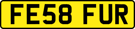 FE58FUR